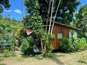 Happy Hippy House7